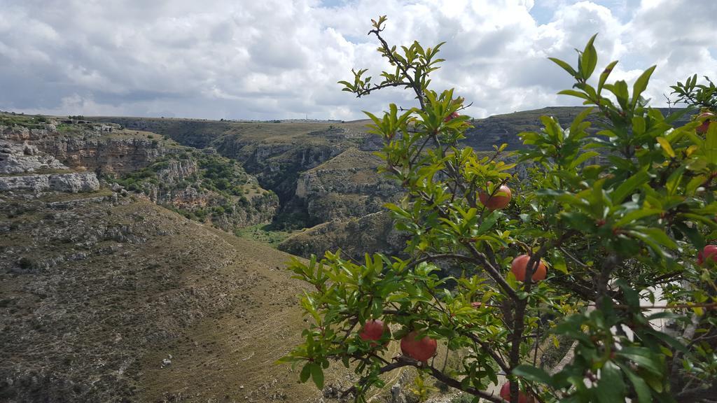 فيلا Casa Il Gufo E La Pupa ماتيرا المظهر الخارجي الصورة